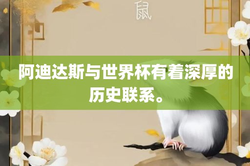 阿迪达斯与世界杯有着深厚的历史联系。