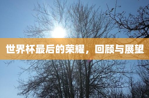 世界杯最后的荣耀，回顾与展望