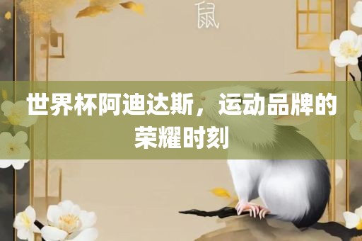 世界杯阿迪达斯，运动品牌的荣耀时刻