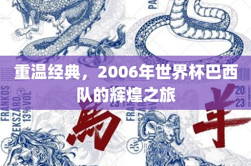 重温经典，2006年世界杯巴西队的辉煌之旅