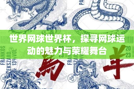 世界网球世界杯，探寻网球运动的魅力与荣耀舞台