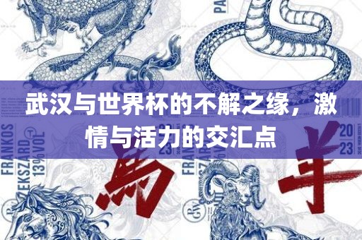 武汉与世界杯的不解之缘，激情与活力的交汇点