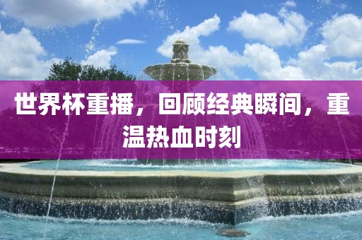 世界杯重播，回顾经典瞬间，重温热血时刻