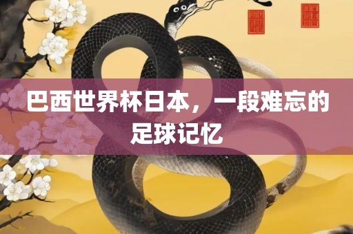 巴西世界杯日本，一段难忘的足球记忆
