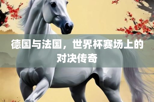 德国与法国，世界杯赛场上的对决传奇