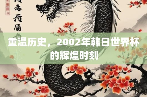 重温历史，2002年韩日世界杯的辉煌时刻