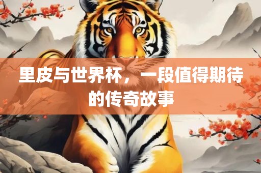 里皮与世界杯，一段值得期待的传奇故事