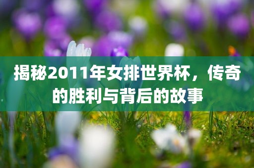 揭秘2011年女排世界杯，传奇的胜利与背后的故事