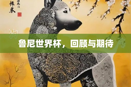 鲁尼世界杯，回顾与期待