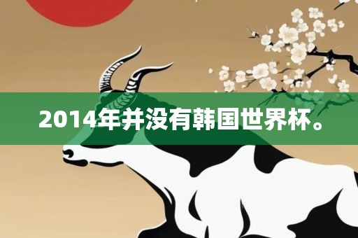2014年并没有韩国世界杯。