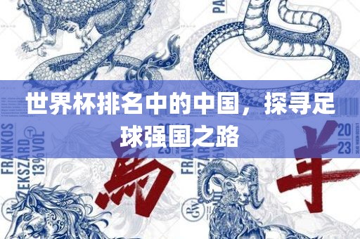 世界杯排名中的中国，探寻足球强国之路