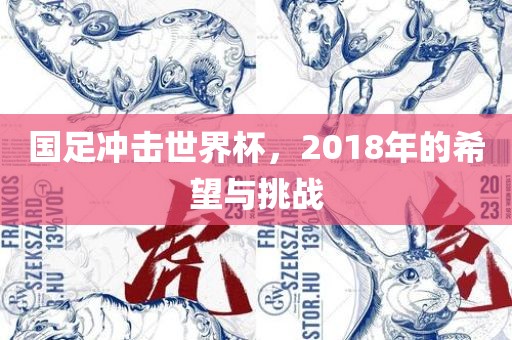 国足冲击世界杯，2018年的希望与挑战