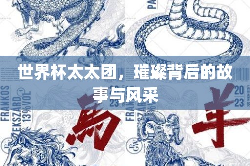 世界杯太太团，璀璨背后的故事与风采