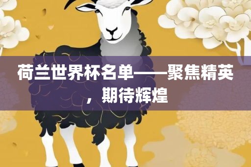 荷兰世界杯名单——聚焦精英，期待辉煌