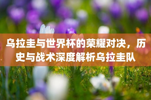 乌拉圭与世界杯的荣耀对决，历史与战术深度解析乌拉圭队