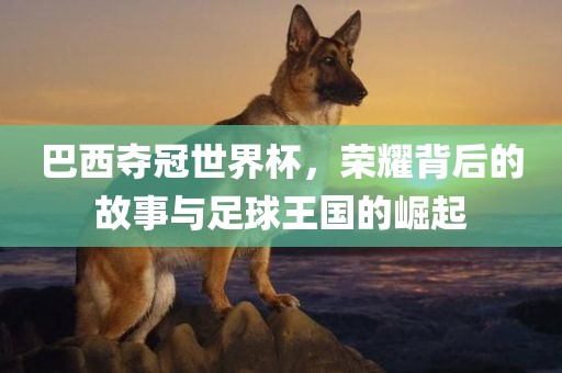 巴西夺冠世界杯，荣耀背后的故事与足球王国的崛起