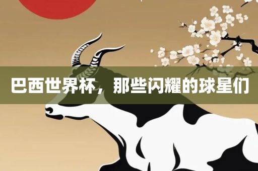 巴西世界杯，那些闪耀的球星们