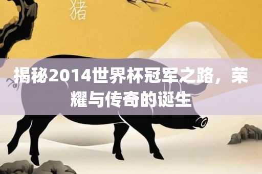 揭秘2014世界杯冠军之路，荣耀与传奇的诞生
