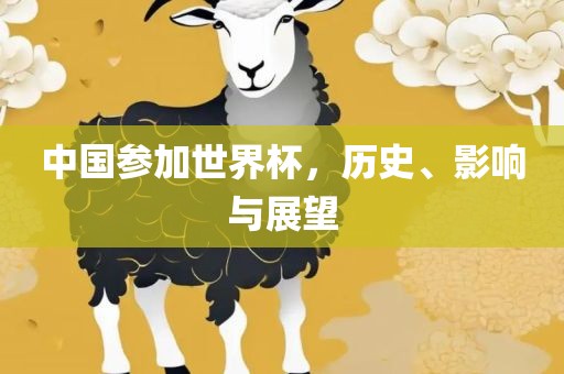 中国参加世界杯，历史、影响与展望漯河市盈旭机械设备有限公司