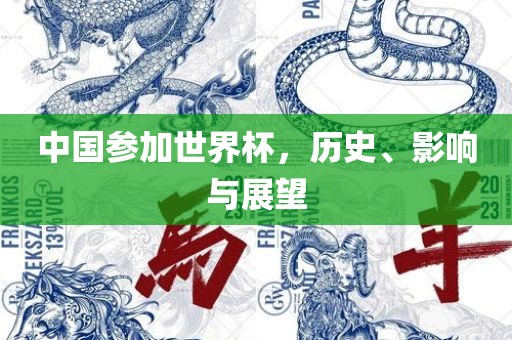 中国参加世界杯，历史、影响与展望漯河市盈旭机械设备有限公司