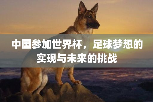 中国参加世界杯，足球梦想的实现与未来的挑战漯河市盈旭机械设备有限公司