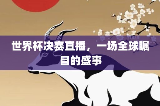 世界杯决赛直播，一场全球瞩目的盛事