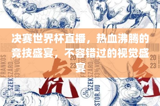 决赛世界杯直播，热血沸腾的竞技盛宴，不容错过的视觉盛宴