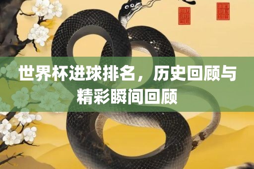 世界杯进球排名，历史回顾与精彩瞬间回顾漯河市盈旭机械设备有限公司