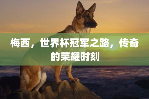 梅西，世界杯冠军之路，传奇的荣耀时刻漯河市盈旭机械设备有限公司