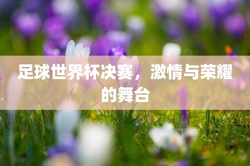 足球世界杯决赛，激情与荣耀的舞台漯河市盈旭机械设备有限公司