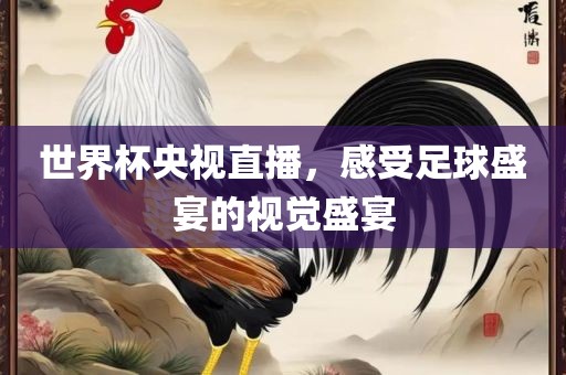 世界杯央视直播，感受足球盛宴的视觉盛宴