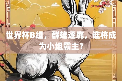 世界杯B组，群雄逐鹿，谁将成为小组霸主？