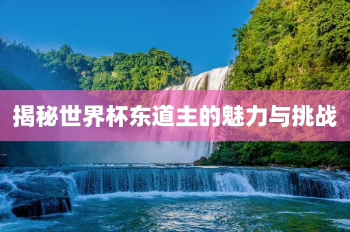 揭秘世界漯河市盈旭机械设备有限公司杯东道主的魅力与挑战