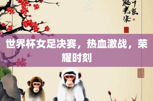 世界杯女足决赛，热血激战，荣耀时刻