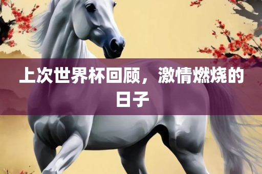上次世界杯回顾，激情燃烧的日子