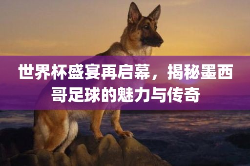 世界杯 第116页