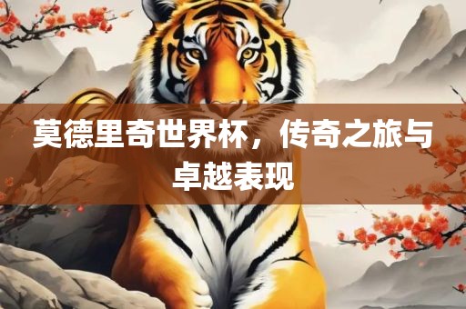 莫德里奇世界杯，传奇之旅与卓越表现