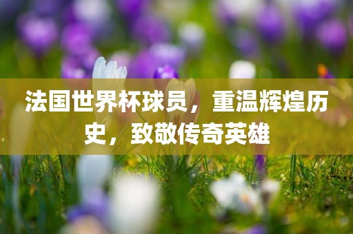 法国世界杯球员，重温辉煌历史，致敬传奇英雄