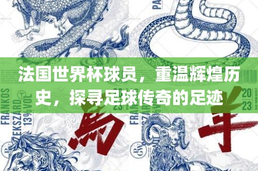 法国世界杯球员，重温辉煌历史，探寻足球传奇的足迹