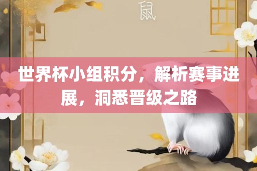 世界杯小组积分，解析赛事进展，洞悉晋级之路