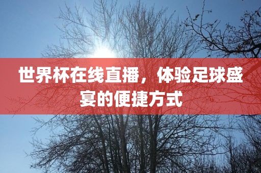 世界杯在线直播，体验足球盛宴的便捷方式
