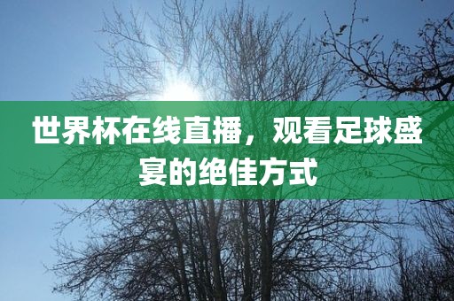 世界杯在线直播，观看足球盛宴的绝佳方式