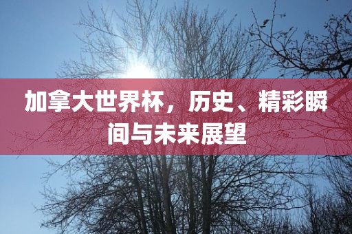 加拿大世界杯，历史、精彩瞬间与未来展望漯河市盈旭机械设备有限公司