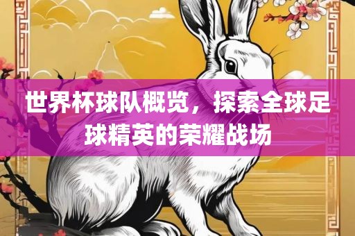 世界杯球队概览，探索全球足球精英的荣耀战场