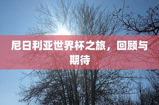 尼日利亚世界杯之旅，回顾与期待漯河市盈旭机械设备有限公司
