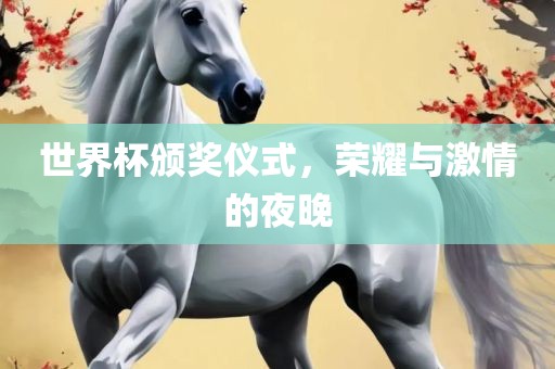 世界杯颁奖仪式，荣耀与激情的夜晚