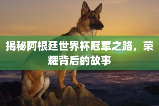 揭秘阿根廷世界杯冠军之路，荣耀背后的故事