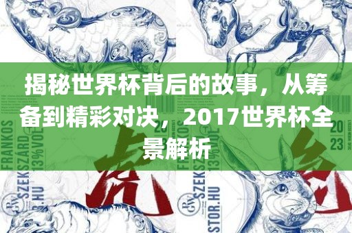 揭秘世界杯背后的故事，从筹备到精彩对决，2017世界杯全景解析