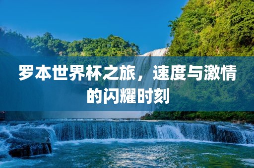 罗本世界杯之旅，速度与激情的闪耀时刻