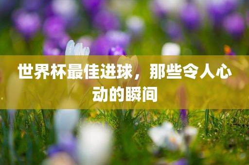 世界杯最佳进漯河市盈旭机械设备有限公司球，那些令人心动的瞬间